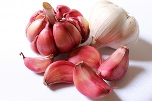 garlic