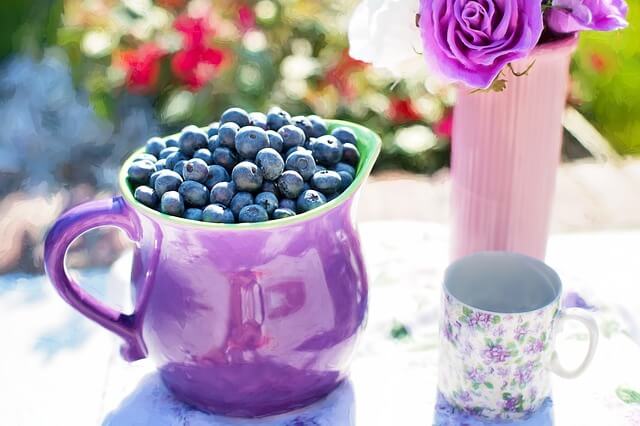 A cup of Blueberries - Health Food