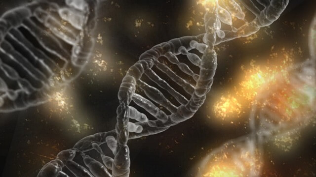 Genes Plays a Role in Chances of Getting Cancer - NHMC