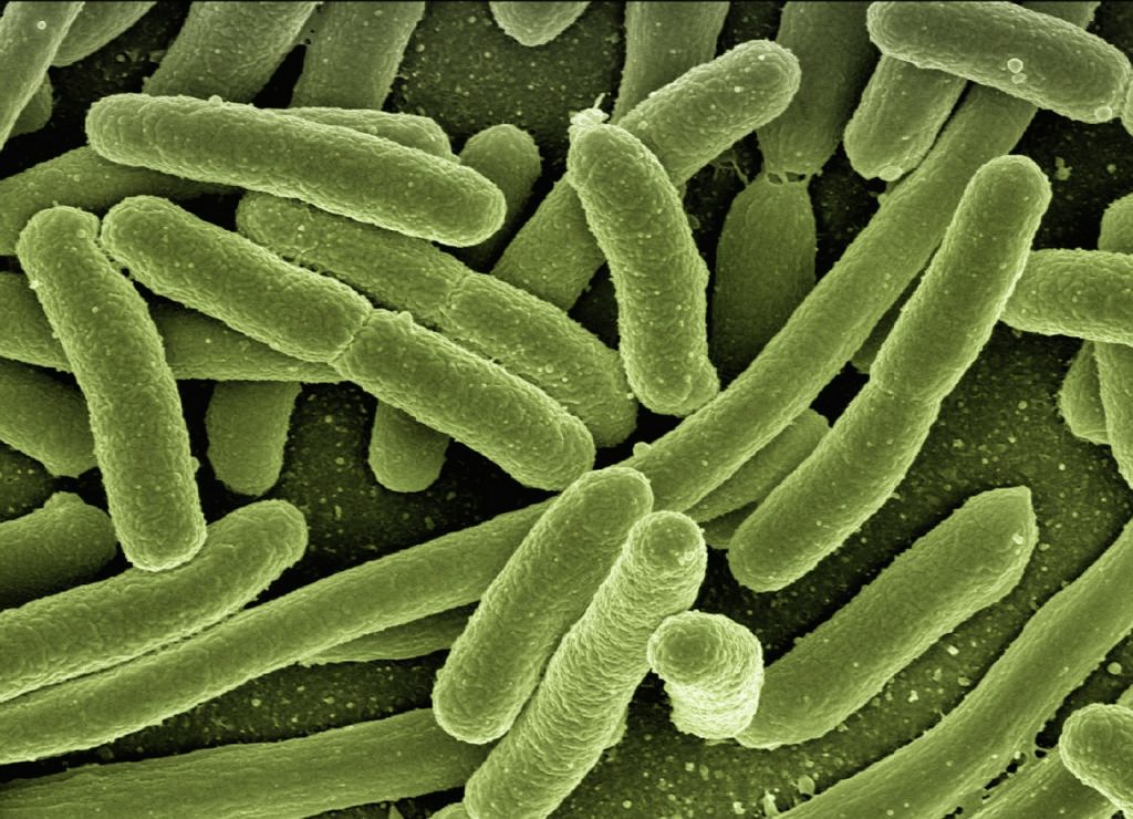 infection